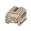 Miniatura Immagine principale 1