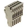 Miniatura Immagine principale 1
