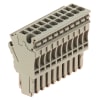 Miniatura Immagine principale 1