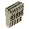 Miniatura Immagine principale 1