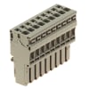 Miniatura Immagine principale 1