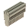 Miniatura Immagine principale 1