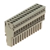 Miniatura Immagine principale 1