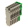 Miniatura Immagine principale 1