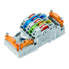 WEIDMULLER - Morsettiera di distribuzione dell'energia, IP20, Collegamento a perforazione d'isolante (IDC), PUSH IN, Numero di poli: