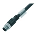 WEIDMULLER - conduttore senza connettore, 5 poli, SAIL M12G CD 3.0A.