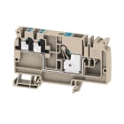 WEIDMULLER - Morsetto d'alimentazione, PUSH IN, Beige scuro, 10 mm², 57 A, 800 V, Numero di collegamenti: 1, Numero di piani: 1, TS 35, V-0, Wemid