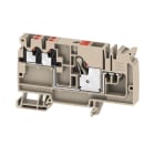 WEIDMULLER - Morsetto d'alimentazione, PUSH IN, Beige scuro, 10 mm², 57 A, 800 V, Numero di collegamenti: 1, Numero di piani: 1, TS 35, V-0, Wemid