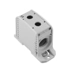 WEIDMULLER - Morsetto ripartitore di potenziale, Collegamento a vite, Grigio chiaro, 300 mm², 520 A, 1000 V, Numero di collegamenti: 2, Numero di piani: 1