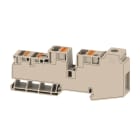 WEIDMULLER - Morsetto ripartitore di potenziale, Collegamento a vite, Beige scuro, 35 mm², 110 A, 1000 V, Numero di collegamenti: 11, Numero di piani: 1