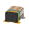Miniatura Immagine principale 1