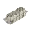 Miniatura Immagine principale 1