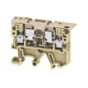 Miniatura Immagine principale 1