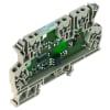 Miniatura Immagine principale 1