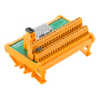 WEIDMULLER - Modulo d'interfaccia con relè, LM2N 5.08 mm, Collegamento a vite, Connettore maschio RSV 1,6, 24-pole female, 2 fili, Indicatore di stato a LED per ca