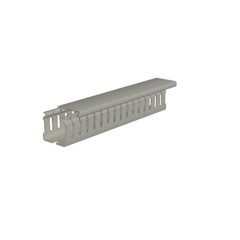 WEIDMULLER - Canalina portacavi CD 50X25 fessurata, larghezza intaglio 5.00 mm, distanza intaglio 7.50 mm, posizione verticale 50 mm, colore grigio.