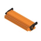 WEIDMULLER - Connettori per circuito stampato 160V 13.4A Passo 3.50mm 1.5mm² 42 poli PUSH IN attuatore Box B2CF 3.50/42/180LR SN OR BX.