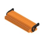 WEIDMULLER - Connettori per circuito stampato 160V 13.4A Passo 3.50mm 1.5mm² 42 poli PUSH IN attuatore Box B2CF 3.50/42/180LH SN OR BX