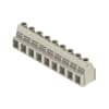 Miniatura Immagine rappresentativa 2