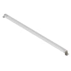 WEIDMULLER - Modulo LED, 5700K, White, 26.5 W, 2719 lm, IP67, Connettore a innesto, Filettatura del collegamento: M12