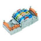 WEIDMULLER - Morsettiera di distribuzione dell'energia, IP20, Collegamento a perforazione d'isolante (IDC), PUSH IN, Numero di poli: