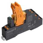 WEIDMULLER - Modulo a relè, 24 V AC, LED verde, 2 Contatto di scambio (AgNi) , 250 V AC, 8 A, PUSH IN