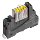 WEIDMULLER - Modulo a relè, 24 V DC, LED verde, 2 Contatti di scambio a guida forzata (EN 61810-3 tipo B) (AgNi) , 250 V AC, 6 A, Collegamento a vite