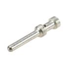 WIELAND ELECTRIC - MALE CONTACT0,5 QMM