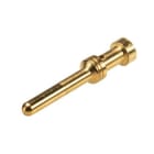WIELAND ELECTRIC - MALE CONTACT4 QMM AU