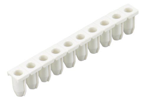 WIELAND ELECTRIC - COND.ENTRY STRIPLELN 2,5/1WHITE