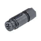 WIELAND ELECTRIC - CONNECTOR FA R ST08I3/2S B1 ZR1 H SW
