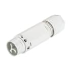 WIELAND ELECTRIC - CONNECTOR MALE RST16I3 S S1 ZT4 GL
