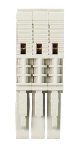 WIELAND ELECTRIC - SPINA X MORSETTO WBF 2,5-3