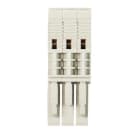 WIELAND ELECTRIC - SPINA X MORSETTO WBF 2,5-3