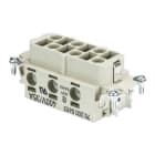 WIELAND ELECTRIC - INSERTO FEMMINA POW BUS 6 6,0 40 AG