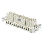 WIELAND ELECTRIC - INSERTO FEMMINA BAS BUS 10 2,5 64