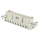 WIELAND ELECTRIC - INSERTO FEMMINA BAS BUS 16 2,5 64