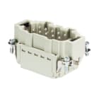 WIELAND ELECTRIC - INSERTO MASCHIO BAS STP 10 2,5 50 AG
