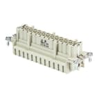 WIELAND ELECTRIC - INSERTO FEMMINA BAS BUF SB 24 2,5 50