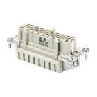 WIELAND ELECTRIC - INSERTO FEMMINA BAS BUF 32 2,5 50