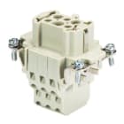 WIELAND ELECTRIC - INSERTO FEMMINA BAS BUM 6 2,5 50 AG
