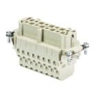 WIELAND ELECTRIC - FEMALE INSERTBAS BUM 16 2,5 50 AG