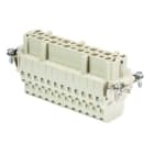 WIELAND ELECTRIC - INSERTO FEMMINA BAS BUM 24 2,5 50 AG