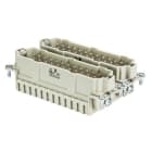 WIELAND ELECTRIC - INSERTO MASCHIO BAS STF 48 2,5 50