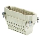 WIELAND ELECTRIC - INSERTO MASCHIO BAS STM 16 2,5 50 AG