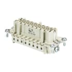 WIELAND ELECTRIC - FEMALE INSERTBAS BUC 16 50