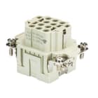 WIELAND ELECTRIC - INSERTO FEMMINA BAS BUCK 10 50 PC