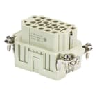 WIELAND ELECTRIC - SOCKET INSERT BAS BUCK 18 50 PC