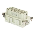 WIELAND ELECTRIC - INSERTO FEMMINA BAS BUCK 32 50 PC