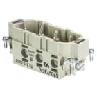 WIELAND ELECTRIC - INSERTO MASCHIO POW STS 6 6,0 69 AG